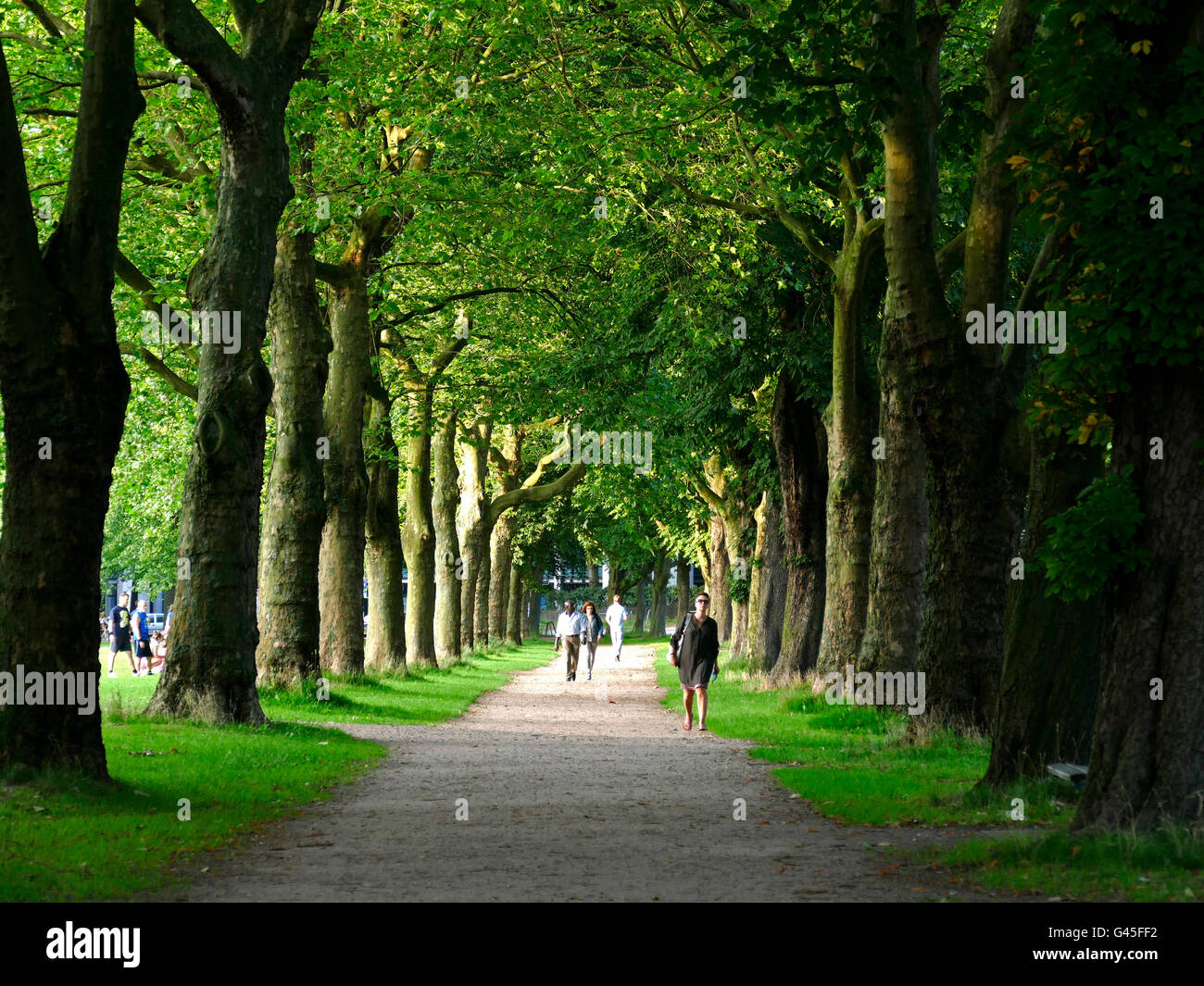 Europa Germania Amburgo la gente a piedi la bellissima tree lane Foto Stock