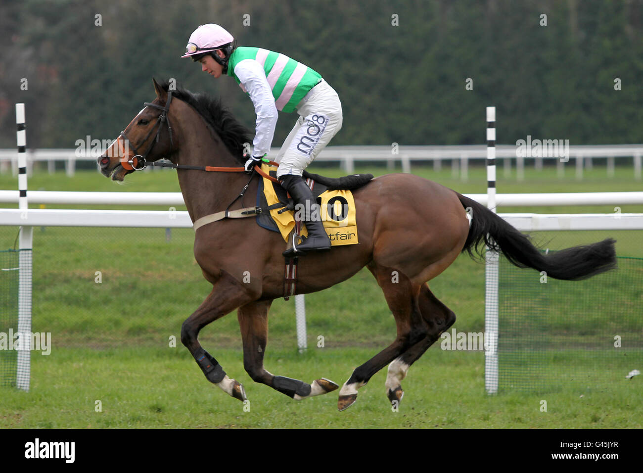 Arctic Wings guidato da Lee Edwards andando a postare prima Al Betfair Supporting Greatwood handicap hurdle Foto Stock