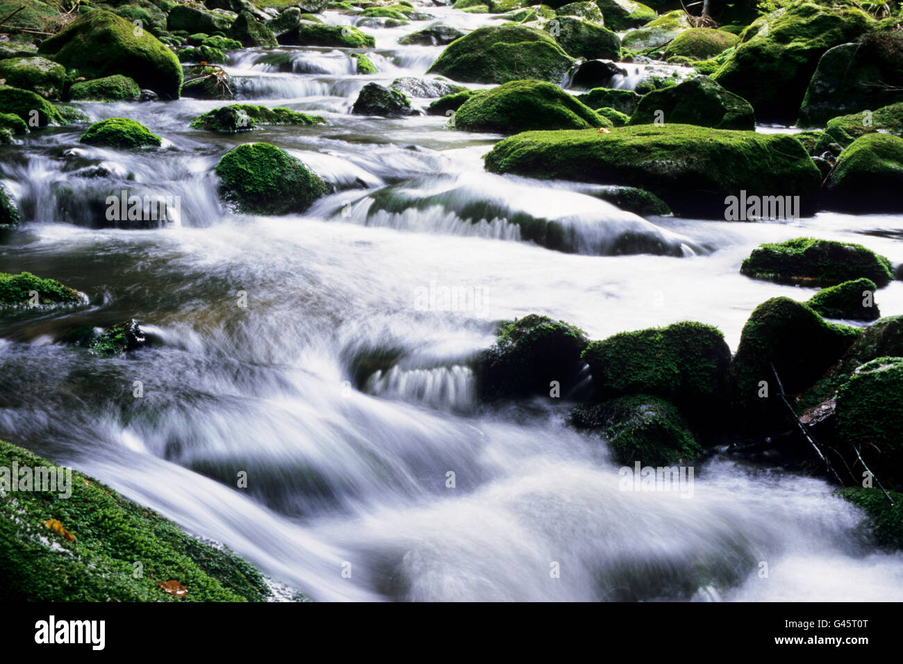 Kl. Ohe si precipita come un selvaggio torrente di montagna tra il muschio di rocce di granito in valle - Parco Nazionale della Foresta Bavarese, Germania Foto Stock