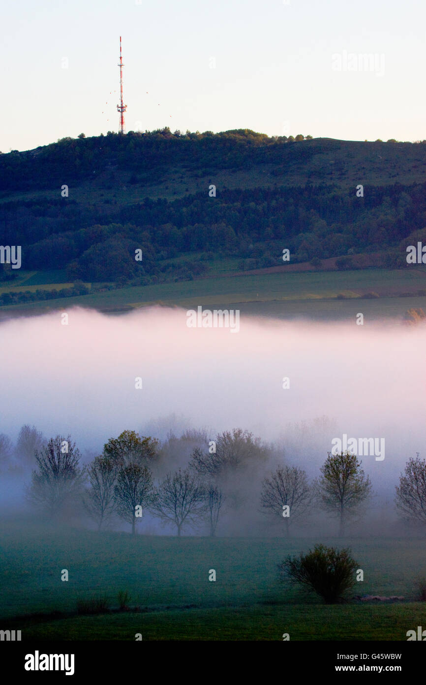 Linea di alberi la banca del fiume Wörnitz nella nebbia mattutina e dare una visione chiara della montagna Hesselberg - Baviera / Germania Foto Stock