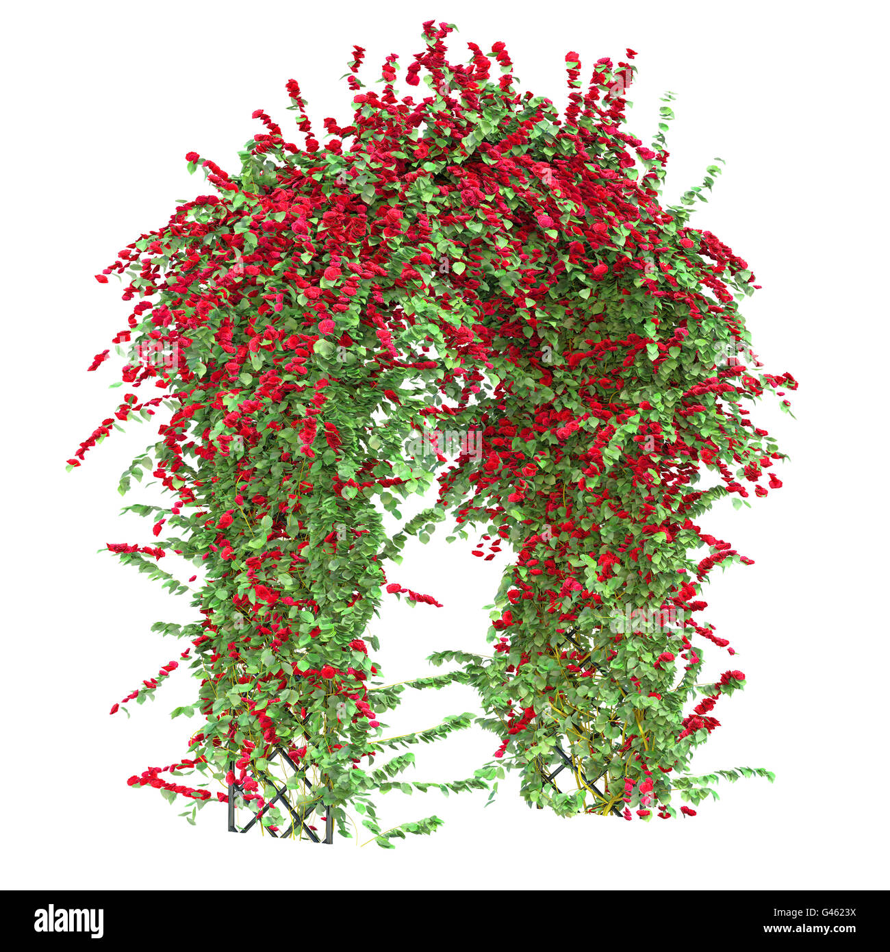 Arcata con rose rampicanti Foto Stock