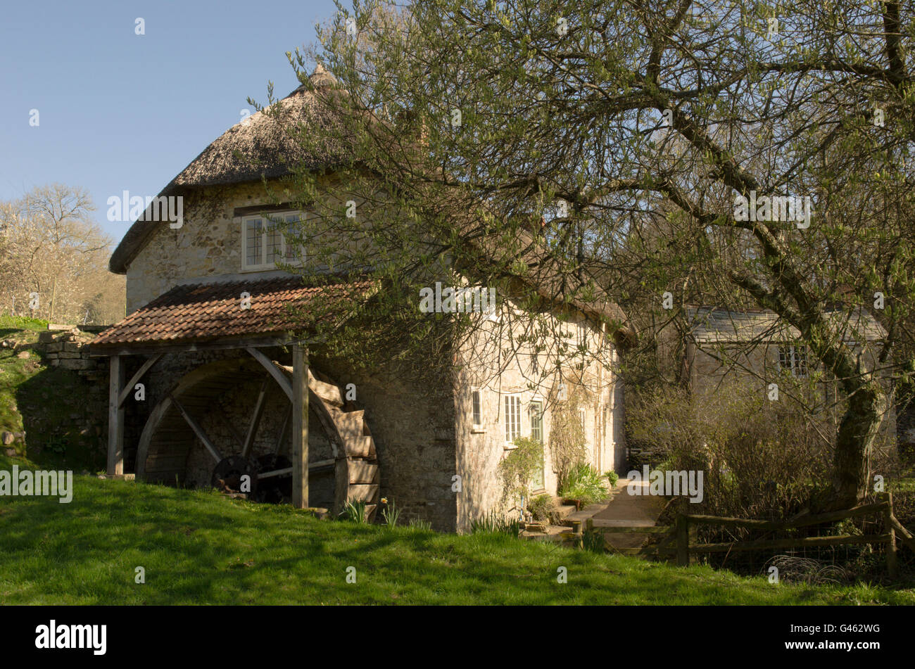 Il Vecchio Mulino a Uplyme, vicino al Lyme Regis, Dorset, Regno Unito. Aprile. Foto Stock