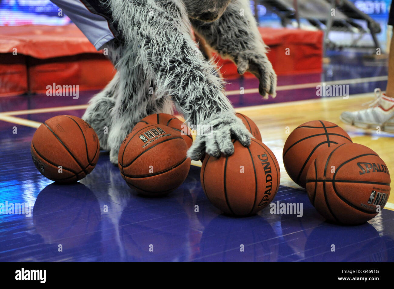 Nuova mascotte maglie Nets Sly la Silver Fox raccoglie un basket durante l'intervallo Foto Stock