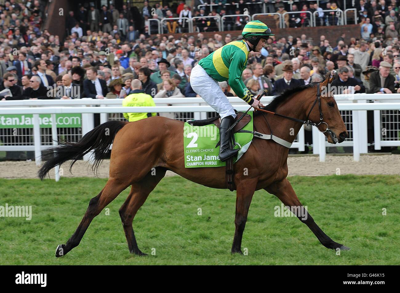 La scelta del clerk guidata da Tom Molloy andrà a pubblicare per il Trofeo Stan James Champion Hurdle Challenge il Centenary Day, durante il Cheltenham Festival. Foto Stock