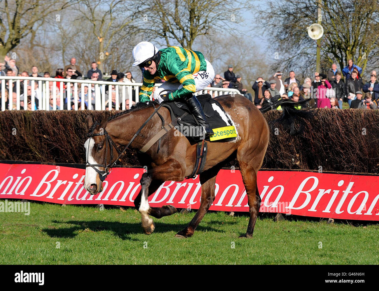 Horse Racing - Totesport Midlands Grand National 2011 - Uttoxeter Racecourse Foto Stock