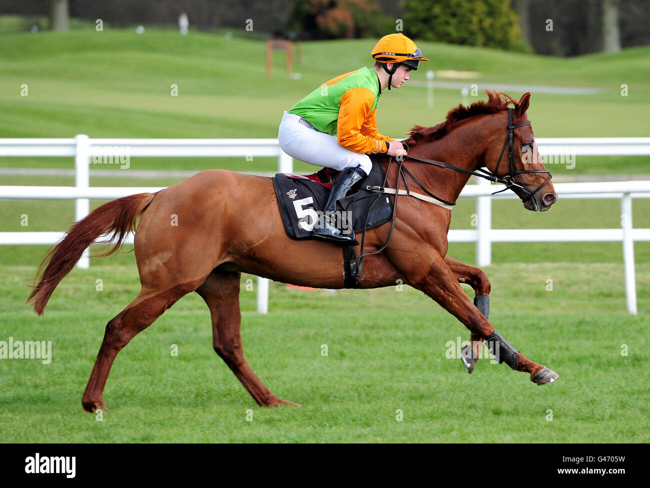 Corse ippiche - National Hunt Racing - Lingfield Park. Colori pazzi ridden da H Miller andare a post Foto Stock