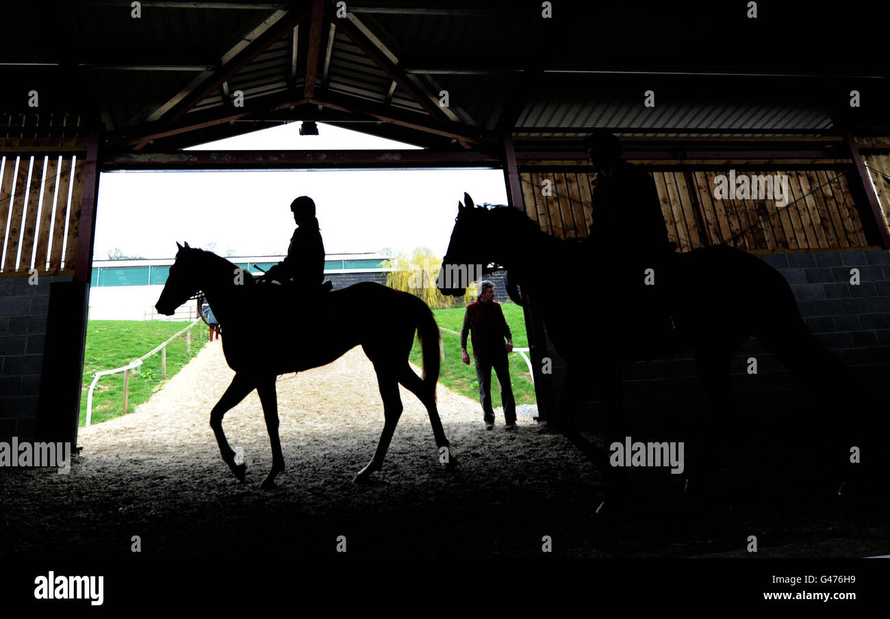 Horse Racing - Richard Fahey Premere Giorno - Banca Musley maneggio Foto Stock