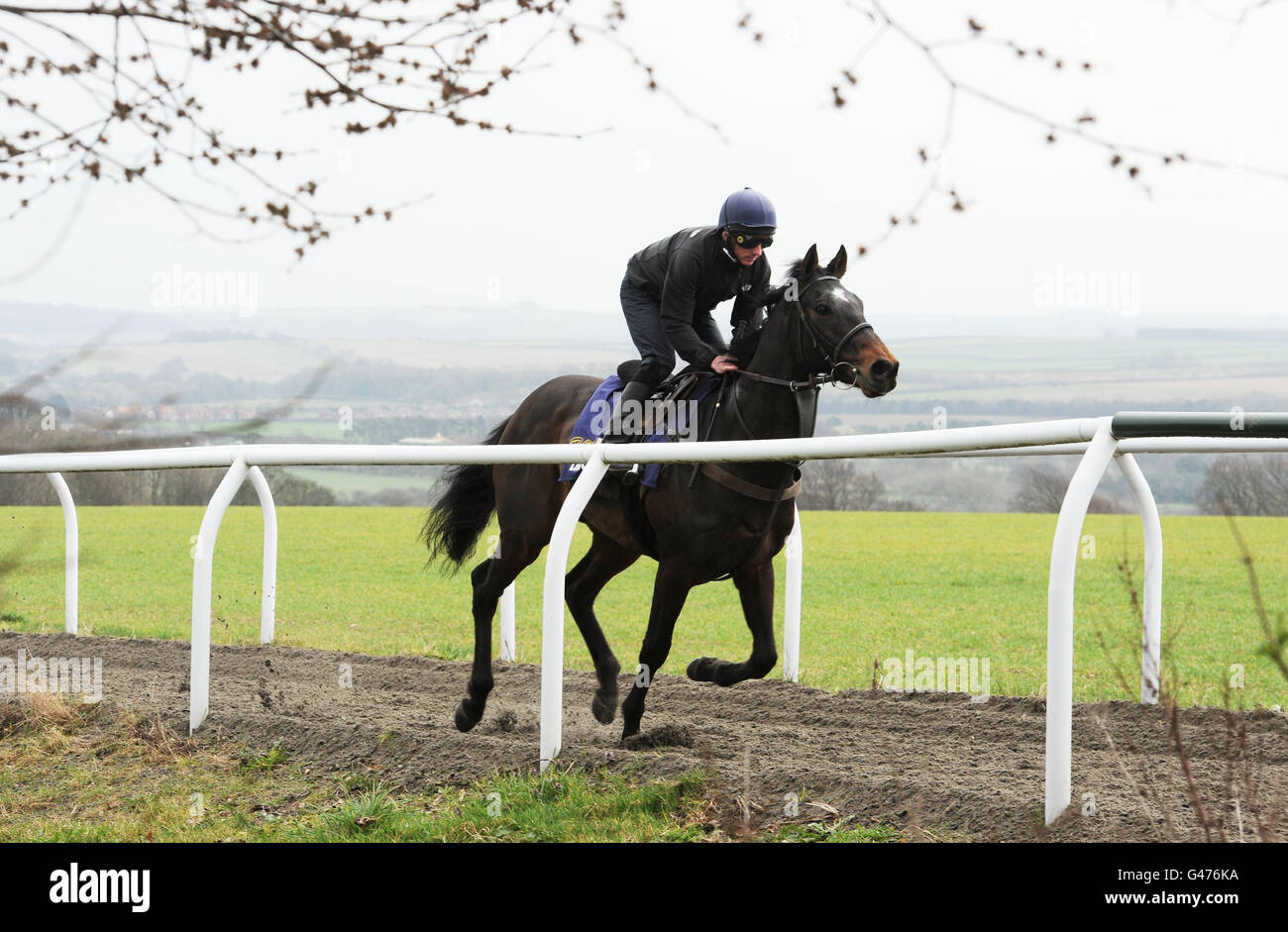 Horse Racing - Richard Fahey Premere Giorno - Banca Musley maneggio Foto Stock