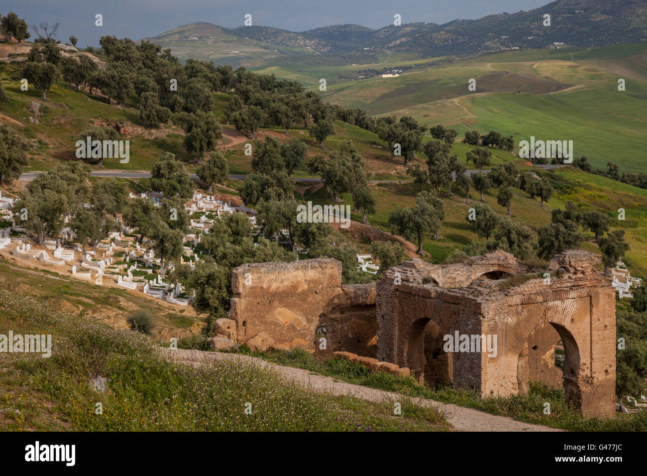 Merenid tombe ( Marinid tombe ) sulla collina sopra Fez ( Fes Fas ) città patrimonio UNESCO sito in Marocco, Africa Foto Stock