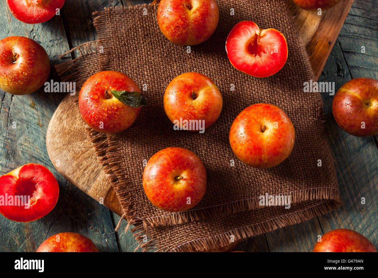 Materie organiche di uova di dinosauro Pluots pronto a mangiare Foto Stock