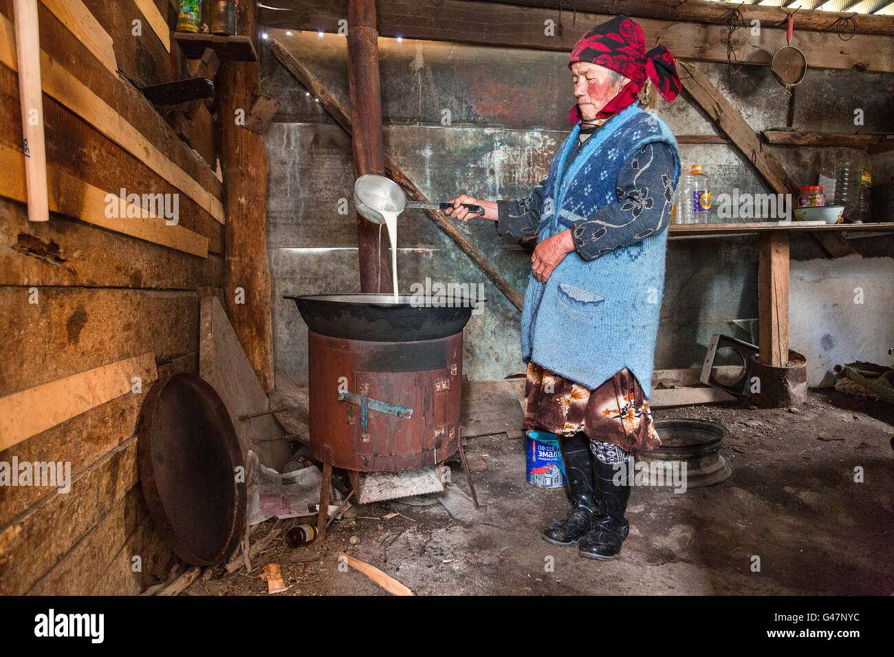 Donna kirghiza mescolando latte di cavallo per fare la bevanda tradizionale di Kymyz. Foto Stock