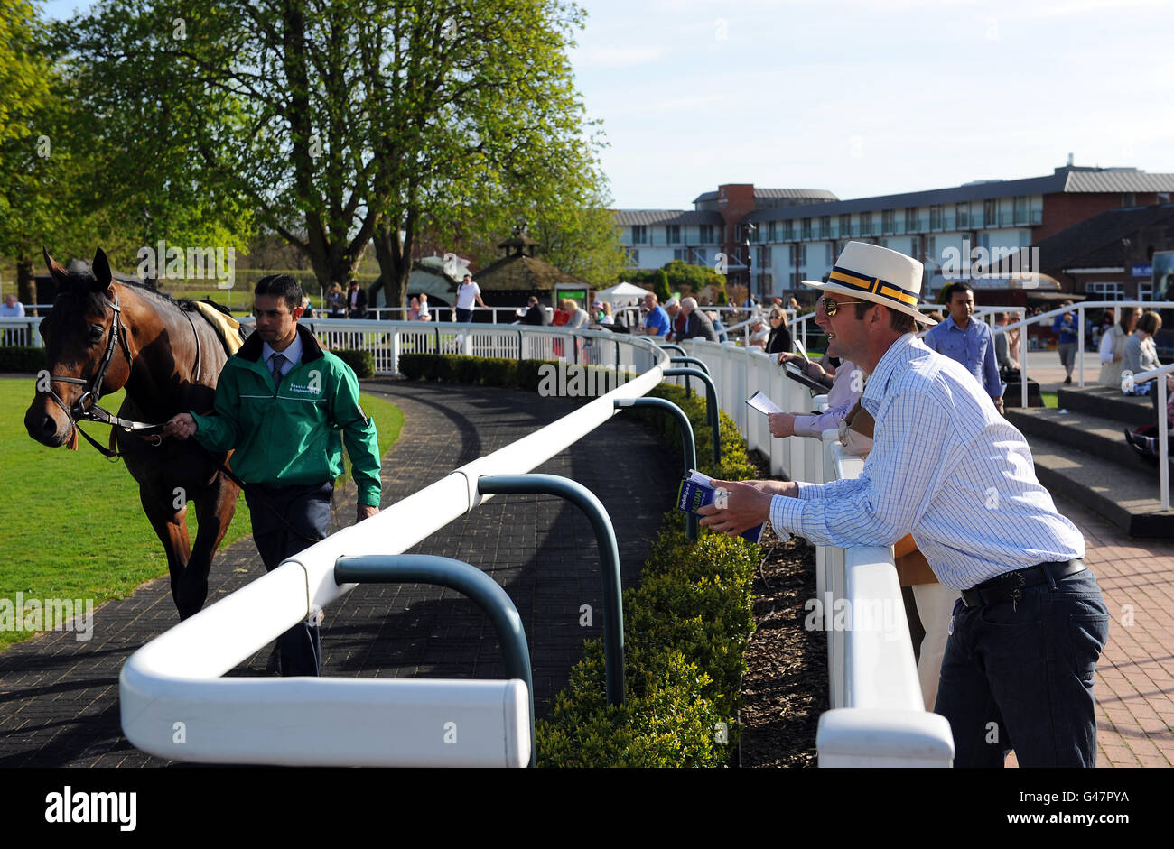 I Racegoers dai un'occhiata ai cavalli nel Parade Ring all'indirizzo Ippodromo di Lingfield Park Foto Stock