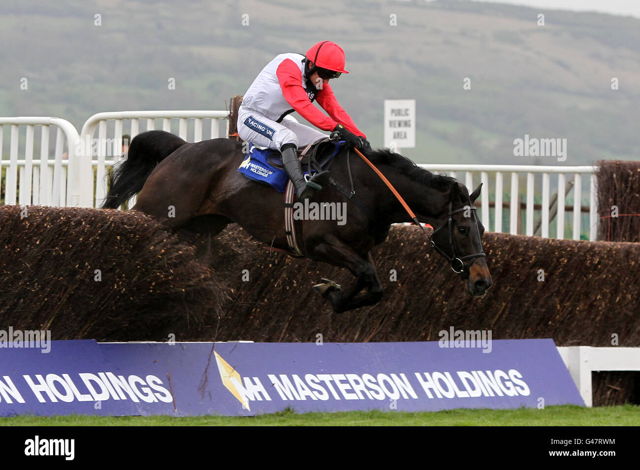 Horse Racing - La riunione del mese di aprile - Giorno 1 - Cheltenham Racecourse Foto Stock