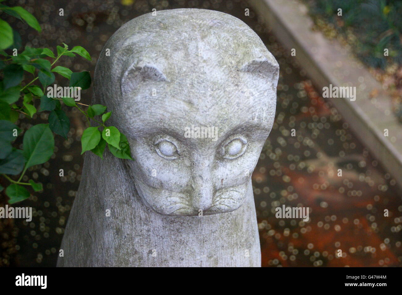 Stone pussycat. La scultura in pietra di un gatto in giardino. Foto Stock