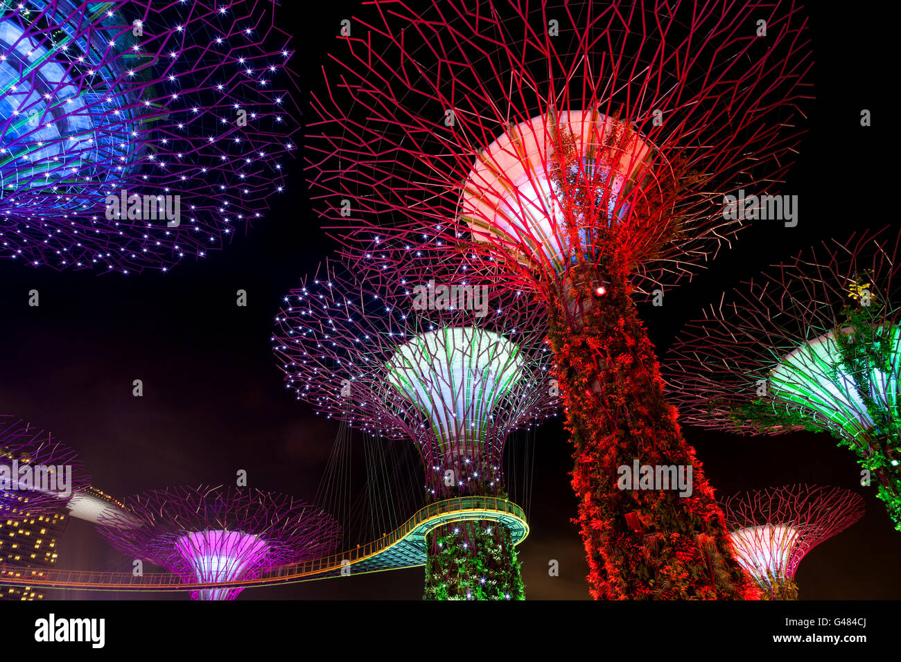Singapore, Singapore - 9 Dicembre 2014: Il Boschetto Supertree rivive in giardini dalla Baia di Singapore. Il notturno dazzlin Foto Stock
