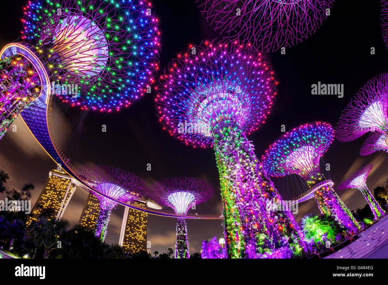 Singapore, Singapore - 14 Luglio 2015: Il Boschetto Supertree rivive in giardini dalla Baia di Singapore. I notturni di abbagliamento di m Foto Stock