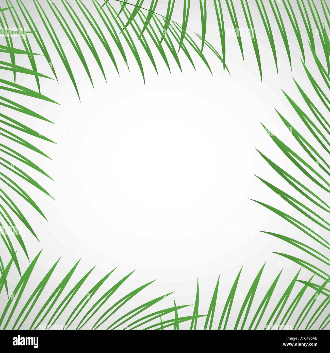 Illustrazione Vettoriale di Palma foglie su sfondo bianco per il vostro design Illustrazione Vettoriale