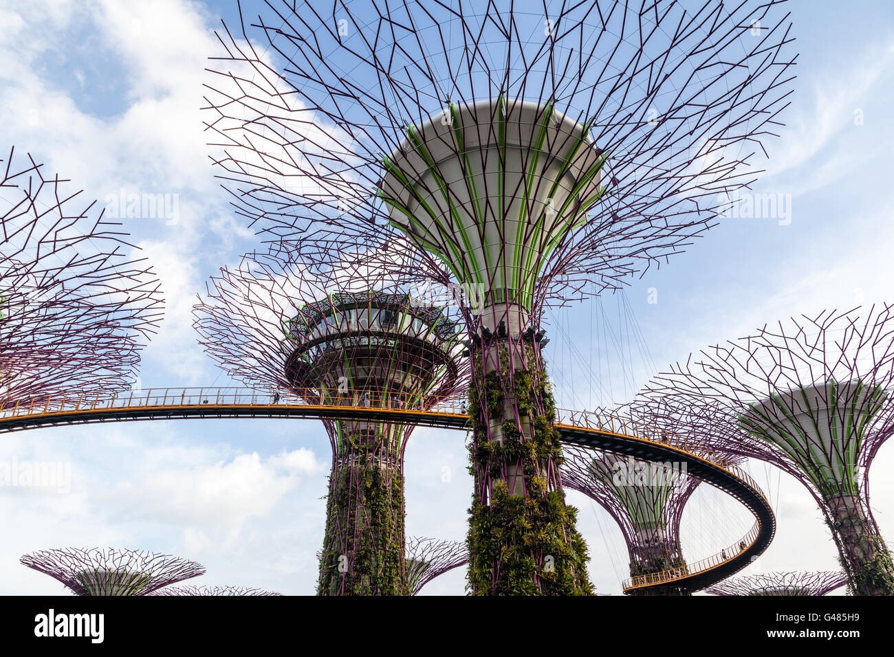 SINGAPORE - 9 dicembre: La Supertree Grove a giardini dalla baia Dicembre 9, 2014. Foto Stock