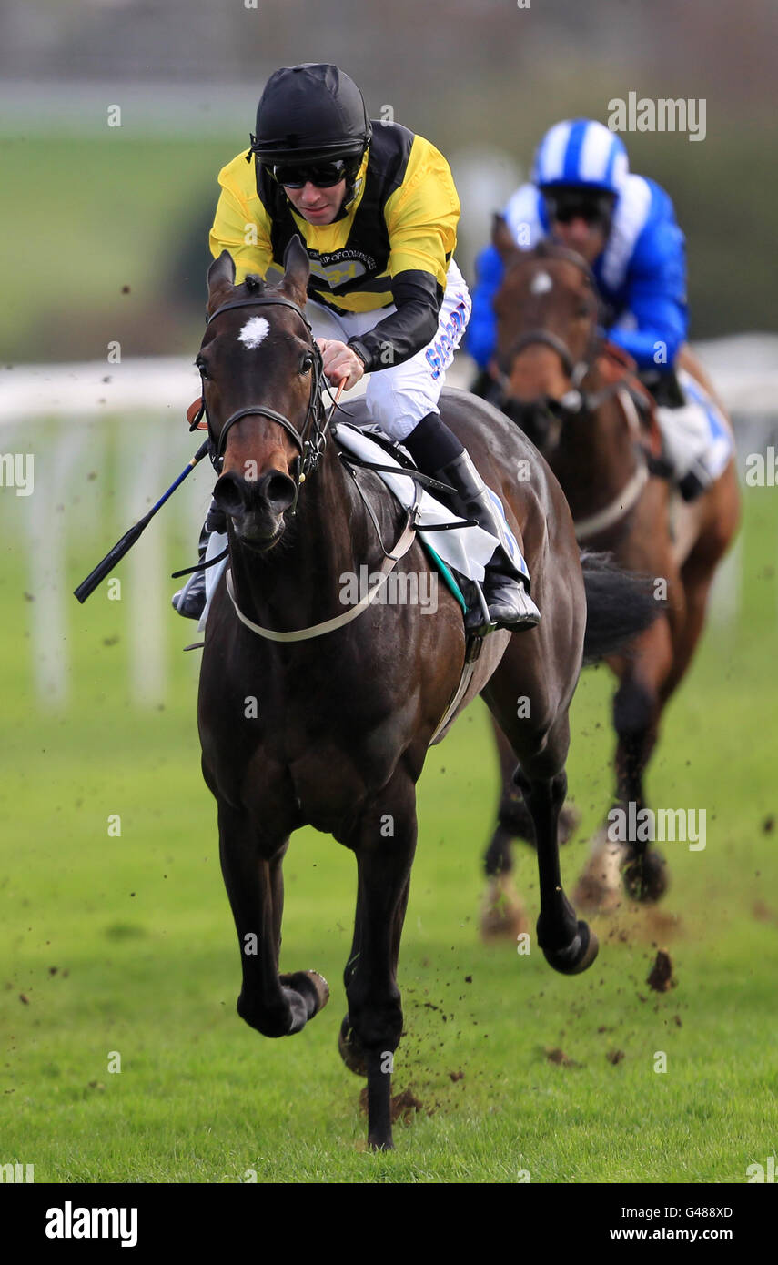 Corse di cavalli - Ladbrokes Race Day - Leicester Racecourse. La madre Jones guidata da Tom Eaves arriva al secondo posto nel ladbrokes.com Barkby Maiden Fillies' Stakes Foto Stock