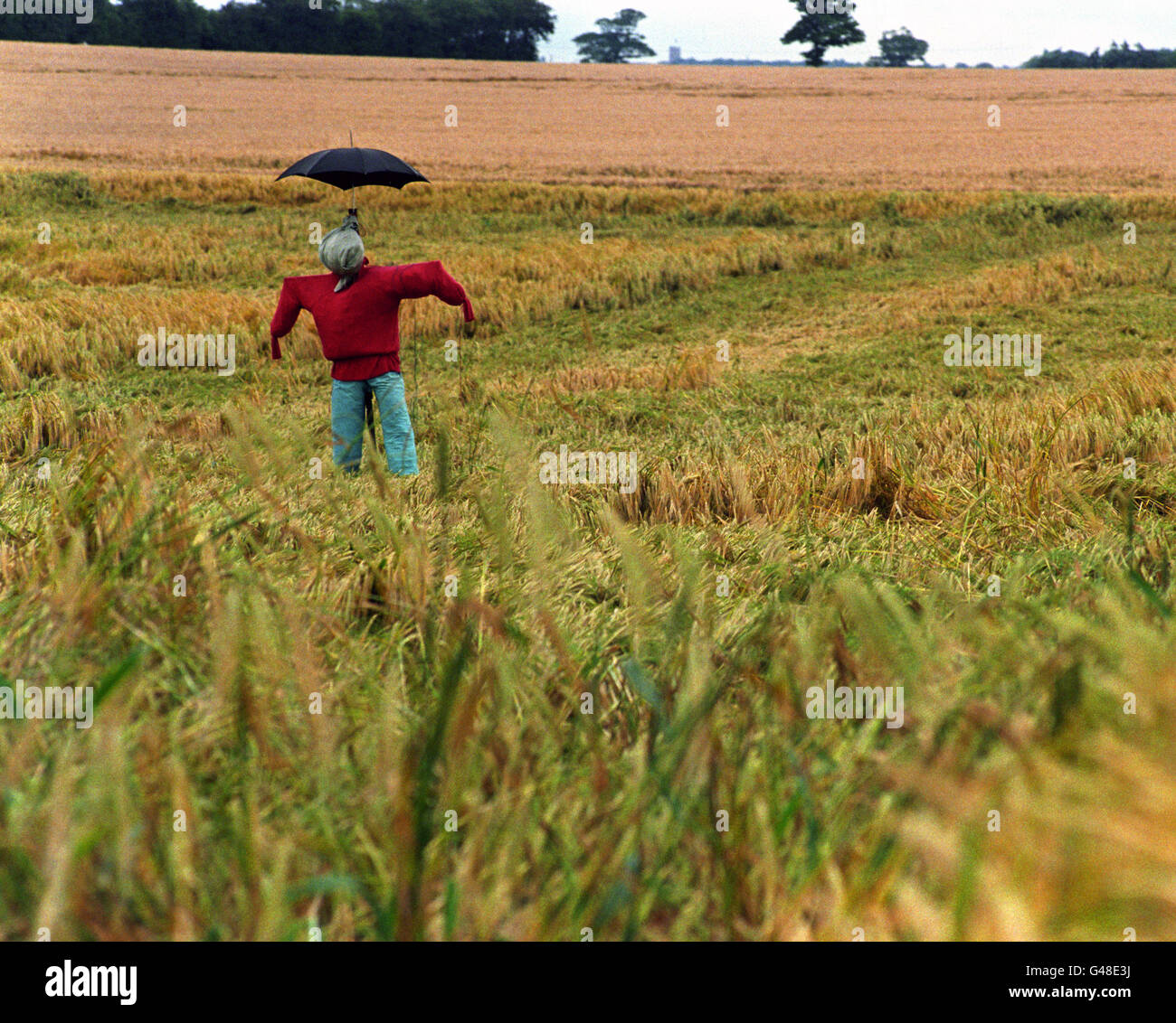 In un campo vicino a York uno scarecrow si erige dotato di un vecchio ombrello per combattere il maltempo. Il mese scorso è stato il giugno più umido in Inghilterra e Galles nel ventesimo secolo. Foto Stock