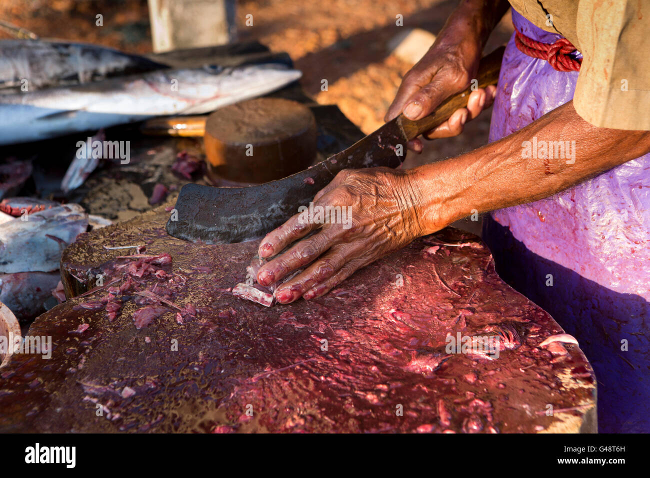 Sri Lanka, Mirissa Harbour, lavoratore tagliare il pesce in vendita in piccole quantità Foto Stock