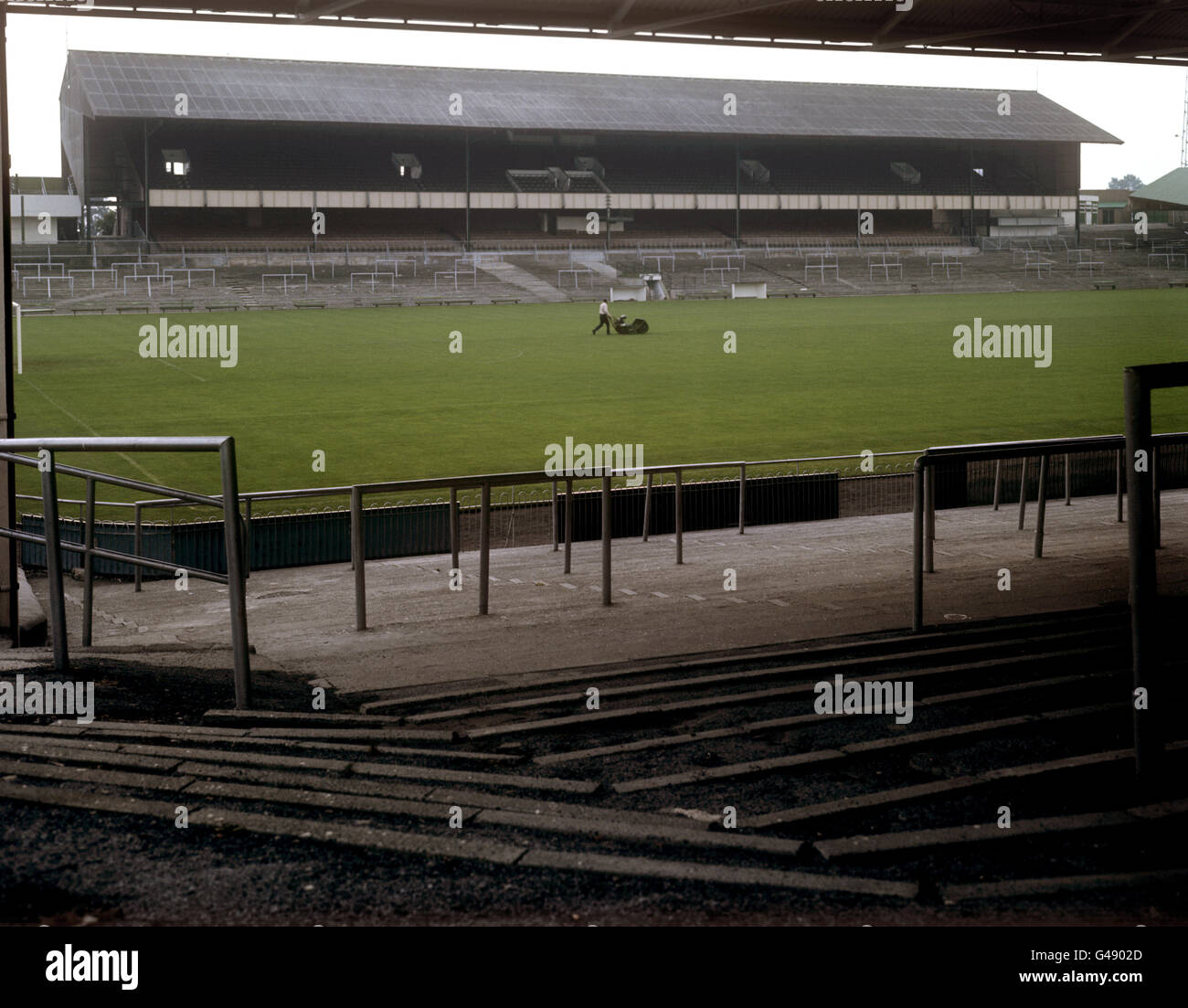 Il falco di terra si arra l'erba sul campo a Home Park di fronte al Grandstand a Plymouth Argyle. Il Grandstand fu costruito nel 1952 ed è stato progettato da Archibald Leitch. Data 1980 circa. Foto Stock