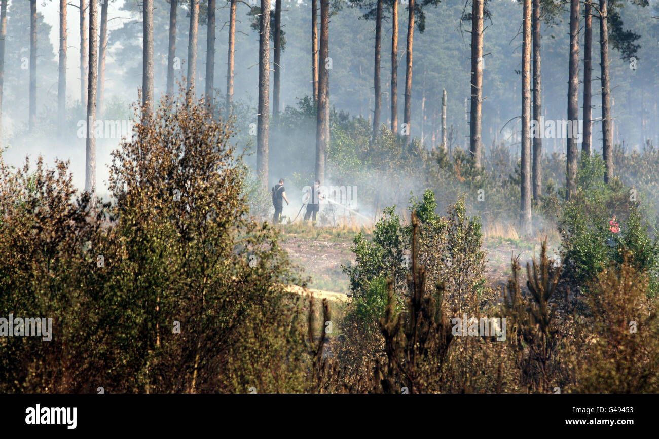 I vigili del fuoco tentano di contenere un incendio nella Swinley Forest vicino a Crowthorne, Berkshire. Foto Stock