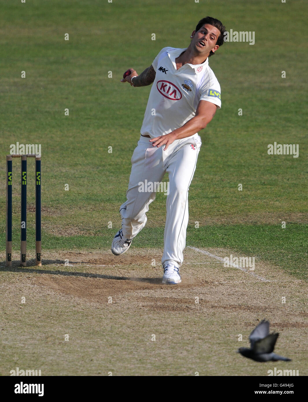 Il Surrey's Jade Dernbach deve interrompere una consegna come un piccione vola attraverso il wicket durante la partita contro Leicestershire. Foto Stock
