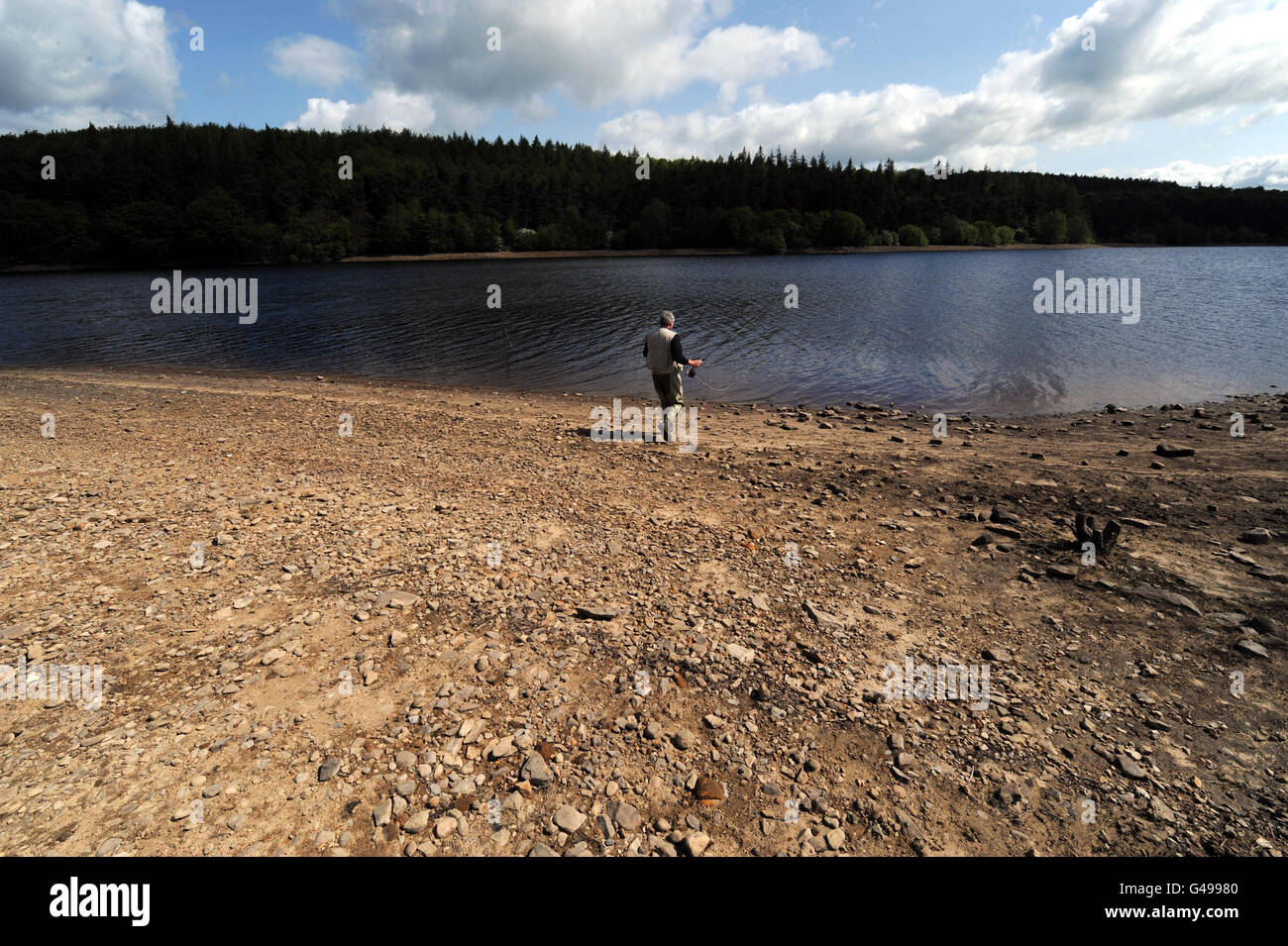 Un pescatore della mosca (nome non dato) ha una camminata più lunga del solito al bordo dell'acqua al serbatoio di Fewston vicino Harrogate che ha visto una caduta nei livelli dovuto il tempo asciutto sperimentato dal Regno Unito. Foto Stock