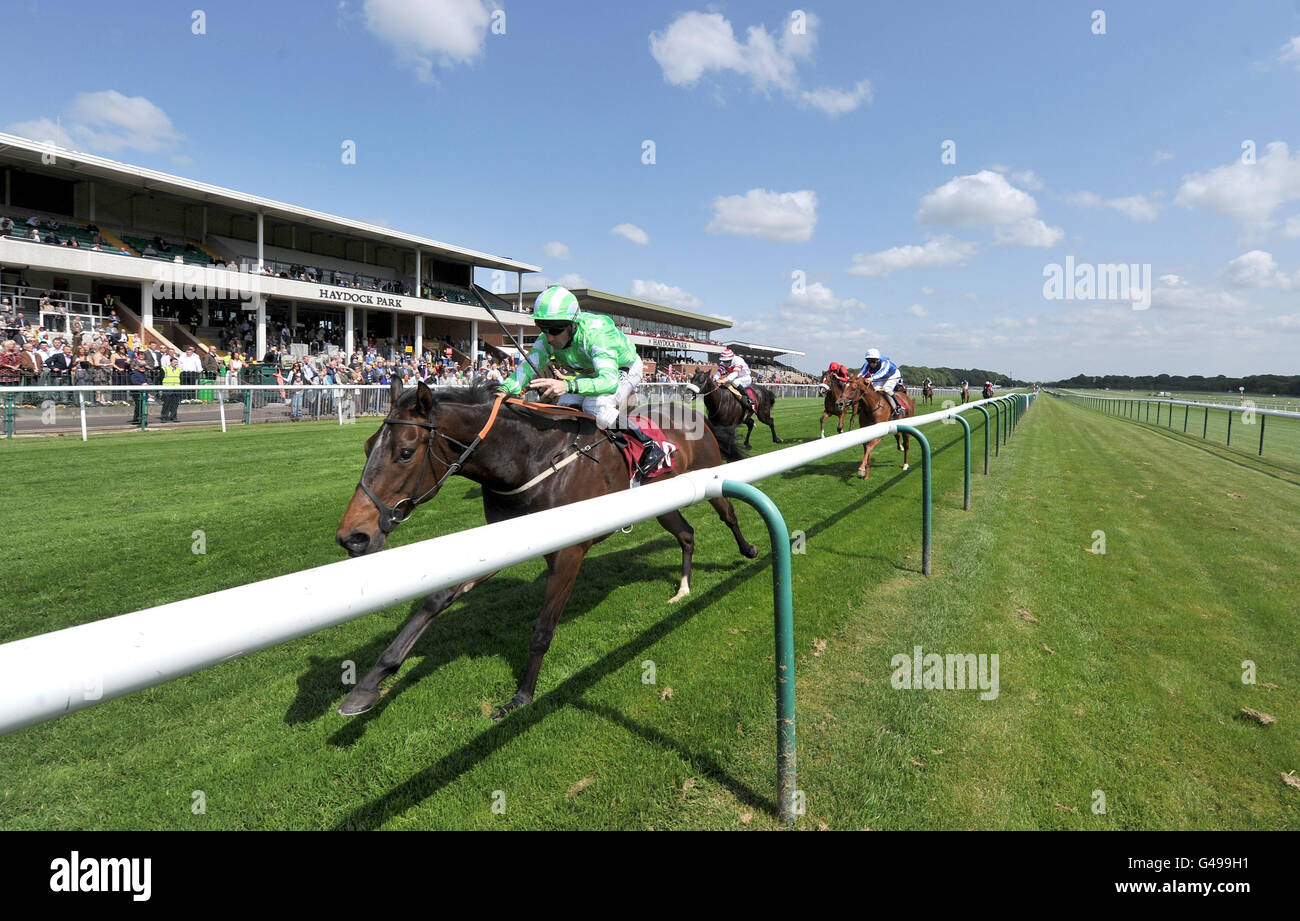 Horse Racing - La Croce Rossa Britannica Raceday - Ippodromo di Haydock Park Foto Stock