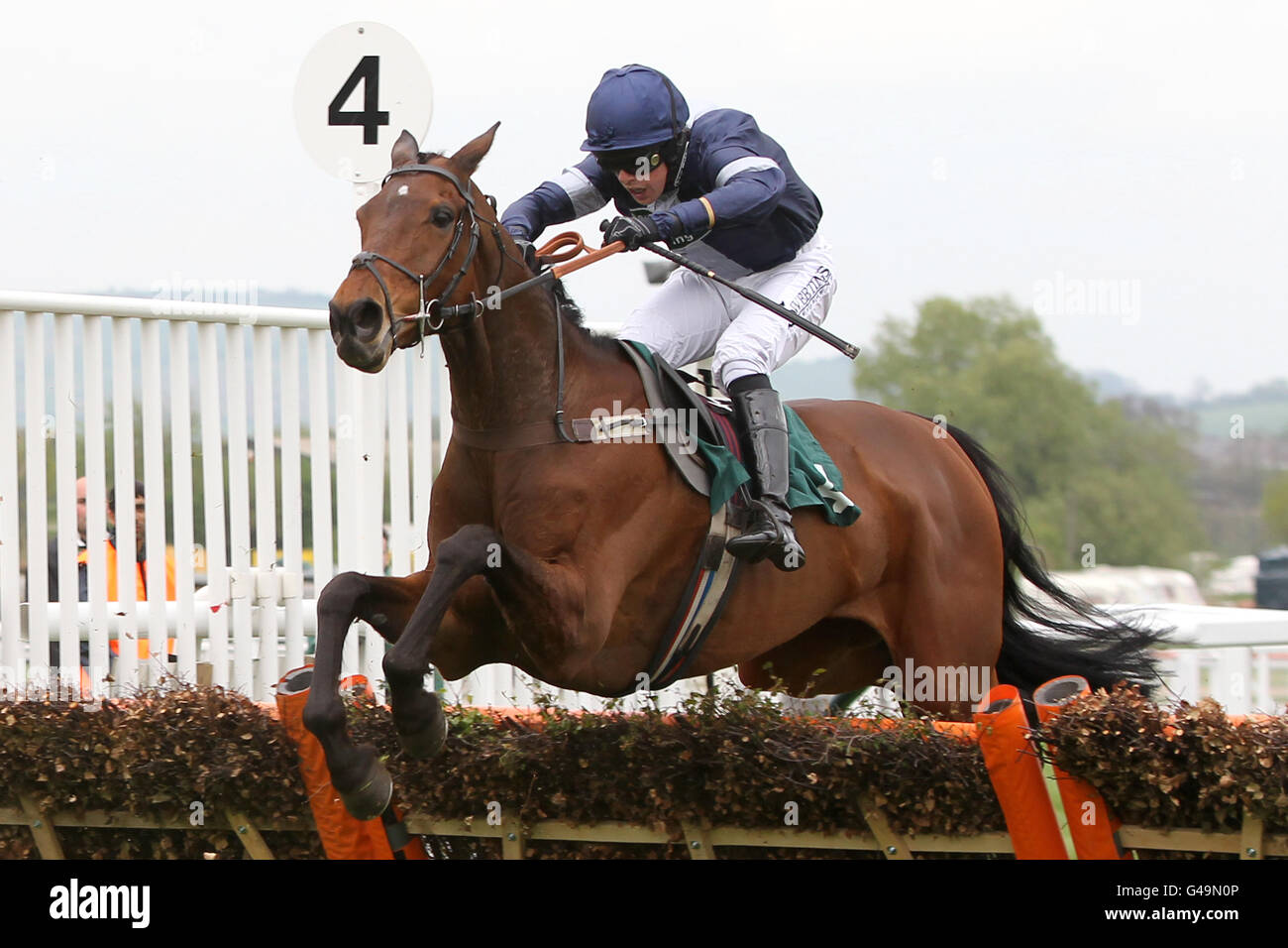 Alasi guidato da Dominic Elsworth durante le scommesse mobili a. L'handicap di Victor Chandler Mares Foto Stock