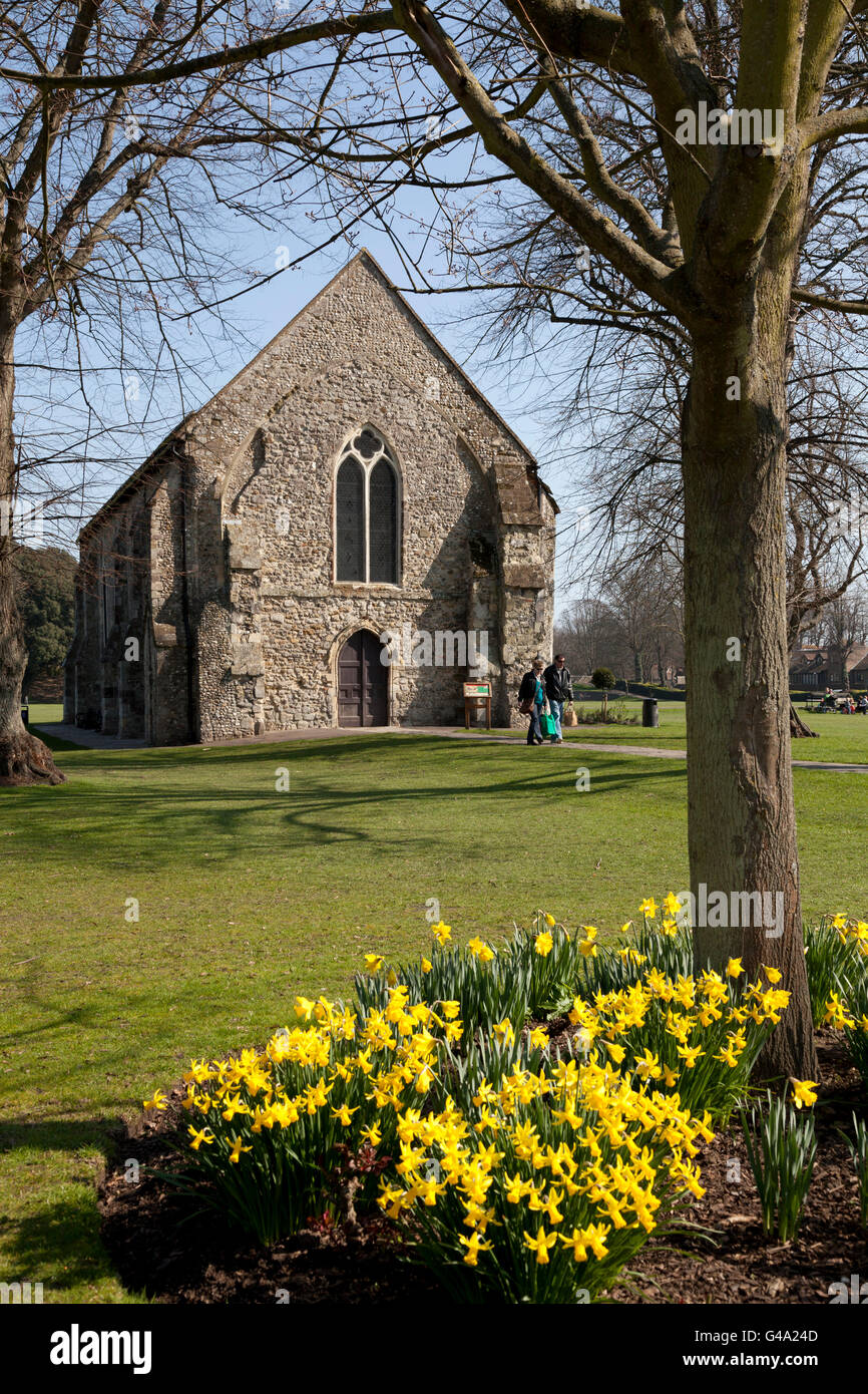 Fiori di Primavera e la Guildhall in Priory Park, centro città, Chichester, West Sussex, in Inghilterra, Regno Unito, Europa Foto Stock