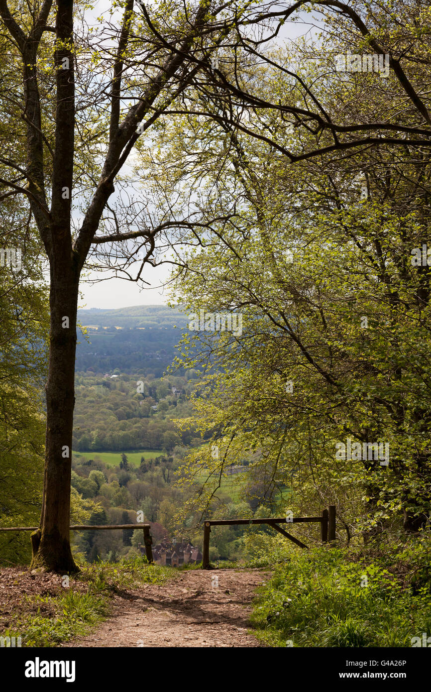 Palo recinzione al top della vista pittoresca del villaggio ripidi da Ashford grucce, Hampshire, Inghilterra, Regno Unito, Europa Foto Stock