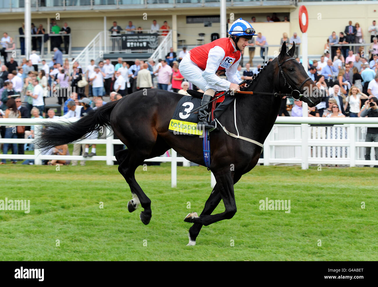 Corse di cavalli - totesport.com Derby Trial Day - Lingfield Park. Jockey Joe Fanning su Hurricane Higgins va a postare nel totesport.com Derby Trial Stakes Foto Stock