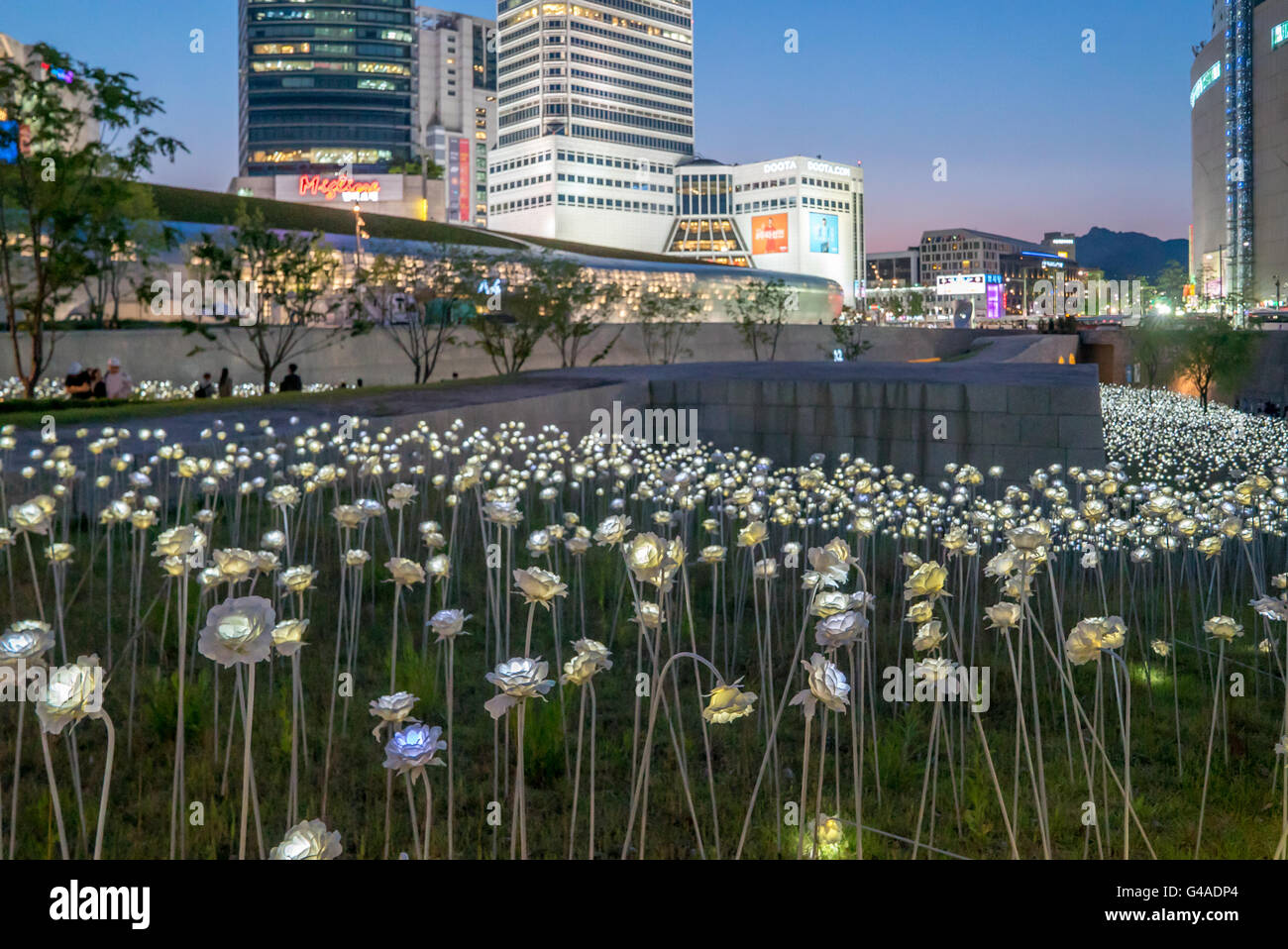 Seoul, Corea del Sud - Maggio 2016: LED acceso rose e Design di Dongdaemun Plaza, progettato dal famoso architetto Zaha Hadid in Seoul Sud Foto Stock