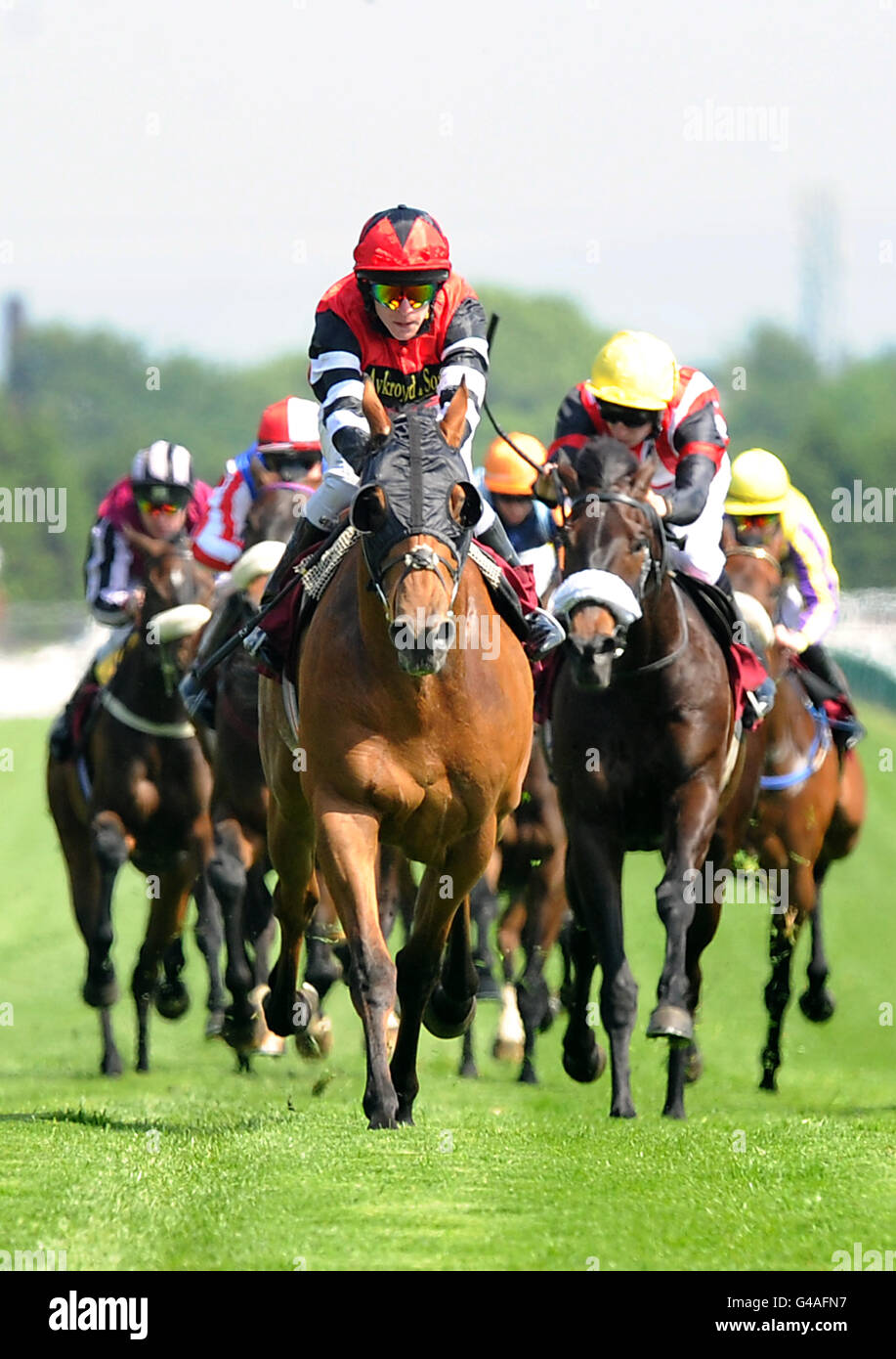 Horse Racing - La Croce Rossa Britannica Raceday - Ippodromo di Haydock Park Foto Stock