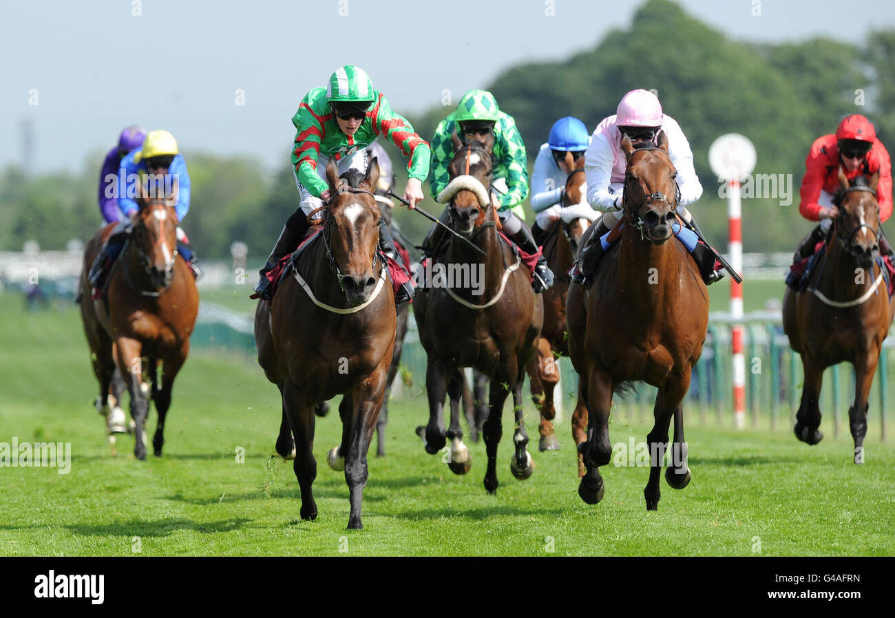 Horse Racing - La Croce Rossa Britannica Raceday - Ippodromo di Haydock Park Foto Stock