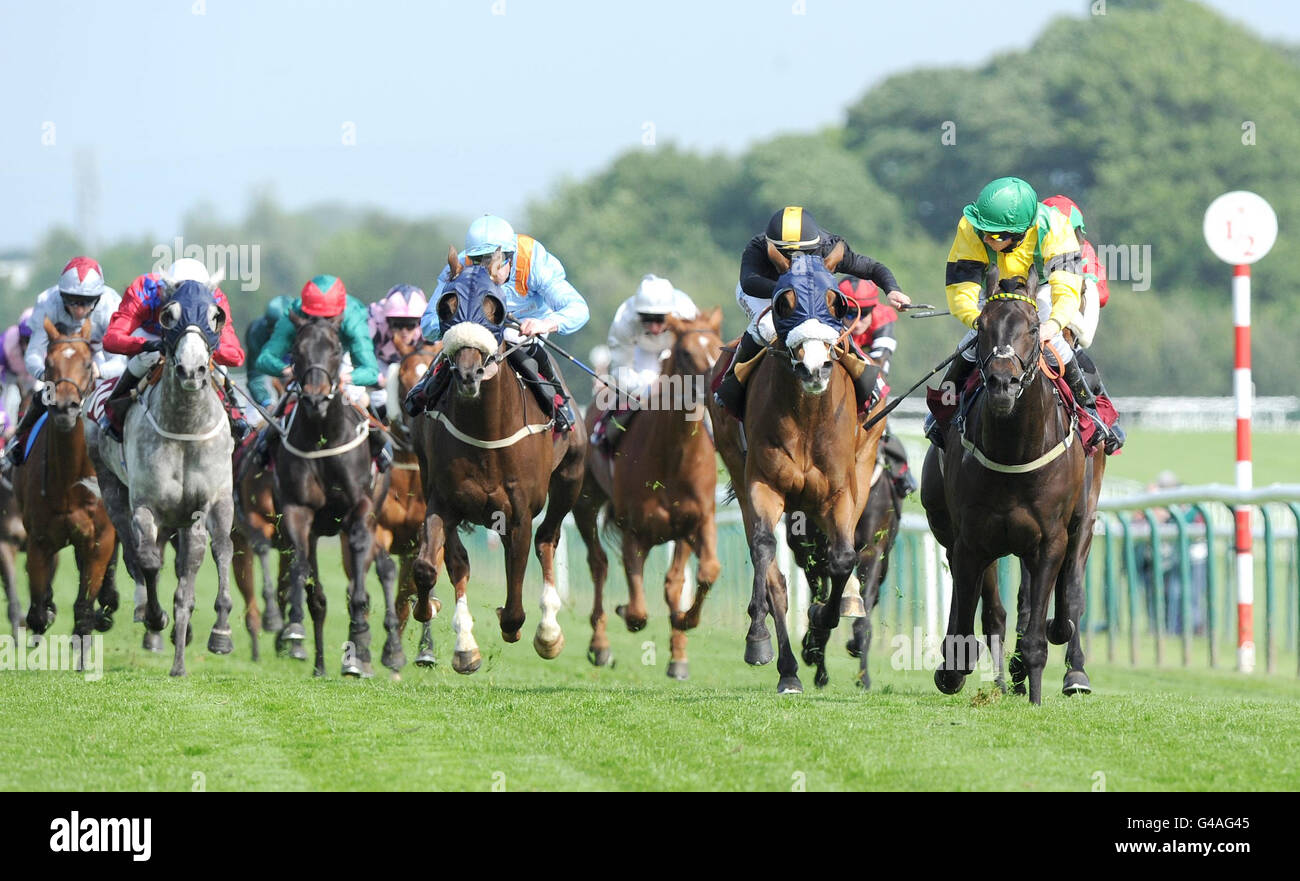 Horse Racing - La Croce Rossa Britannica Raceday - Ippodromo di Haydock Park Foto Stock