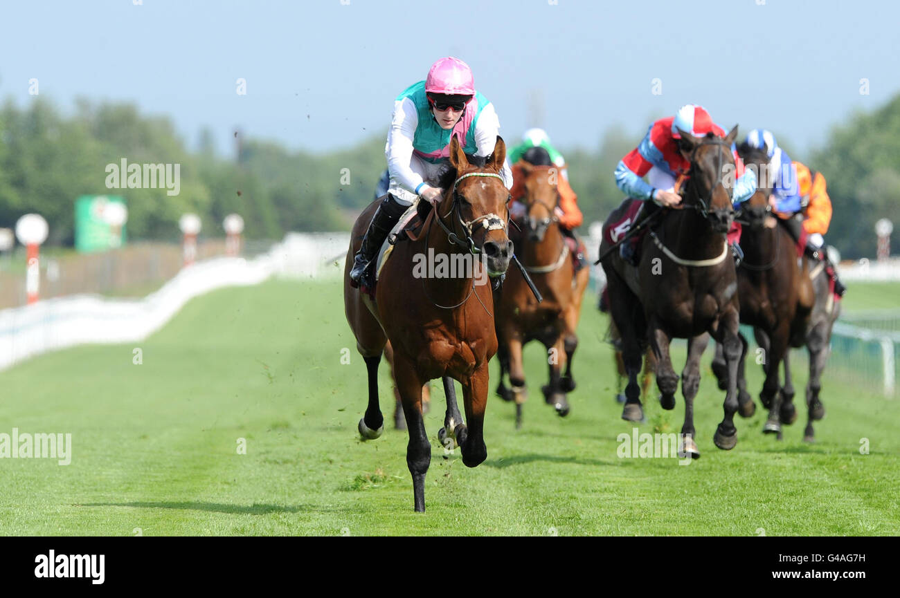 Horse Racing - La Croce Rossa Britannica Raceday - Ippodromo di Haydock Park Foto Stock