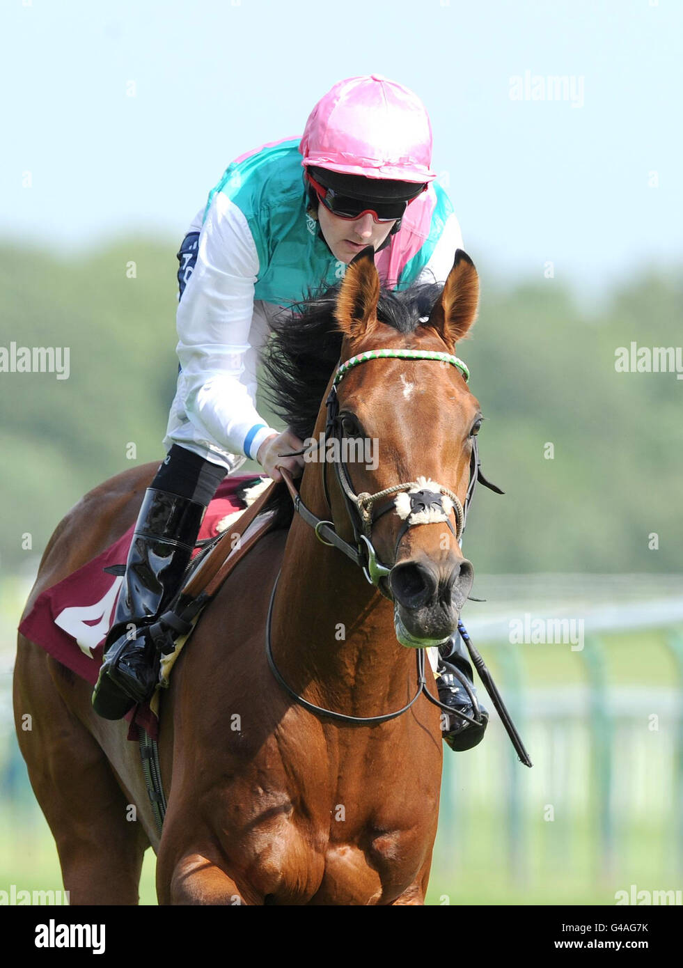 Horse Racing - La Croce Rossa Britannica Raceday - Ippodromo di Haydock Park Foto Stock
