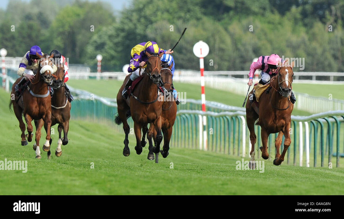 Horse Racing - La Croce Rossa Britannica Raceday - Ippodromo di Haydock Park Foto Stock