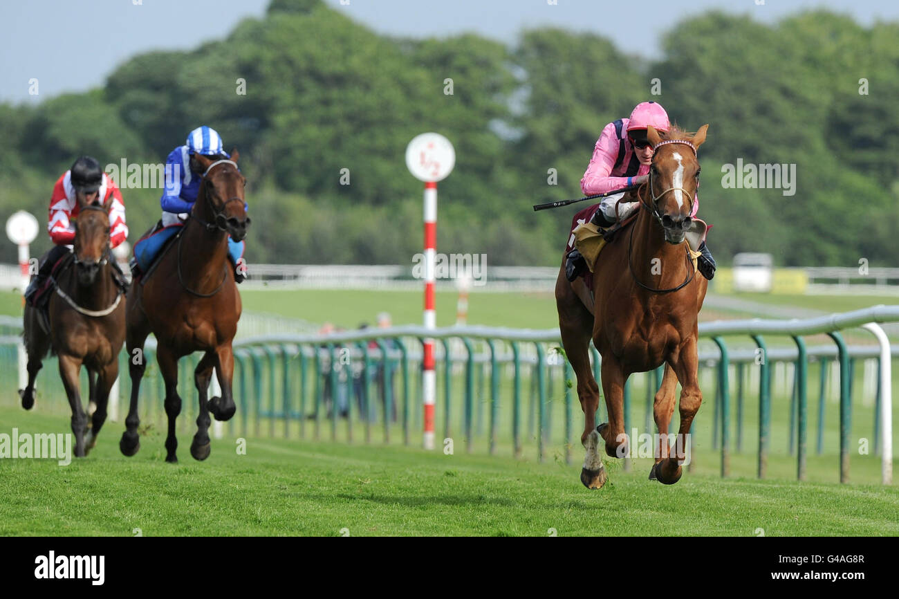 Horse Racing - La Croce Rossa Britannica Raceday - Ippodromo di Haydock Park Foto Stock