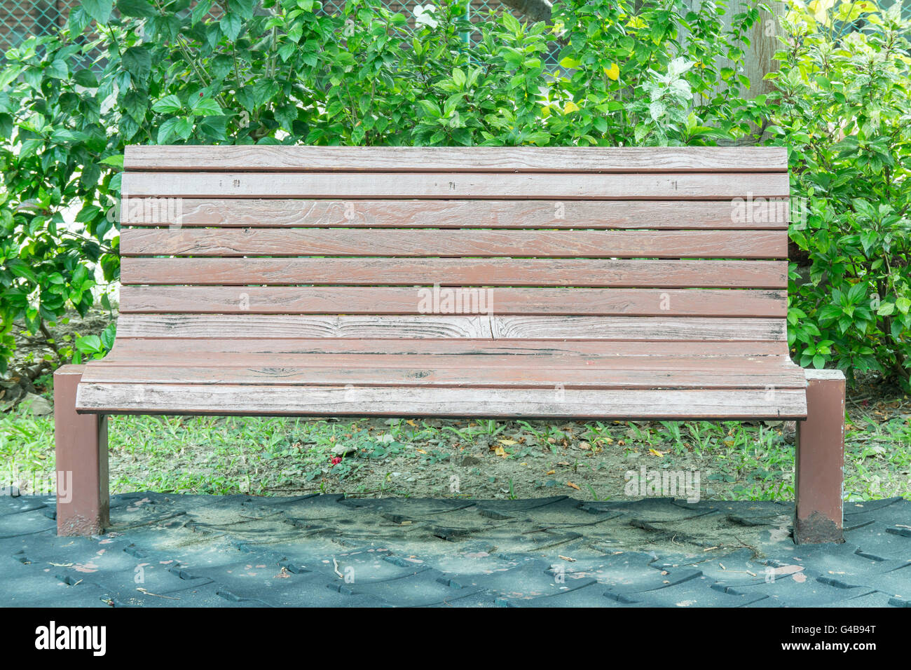 Panca di legno nel parco e sfondo vegetale Foto Stock
