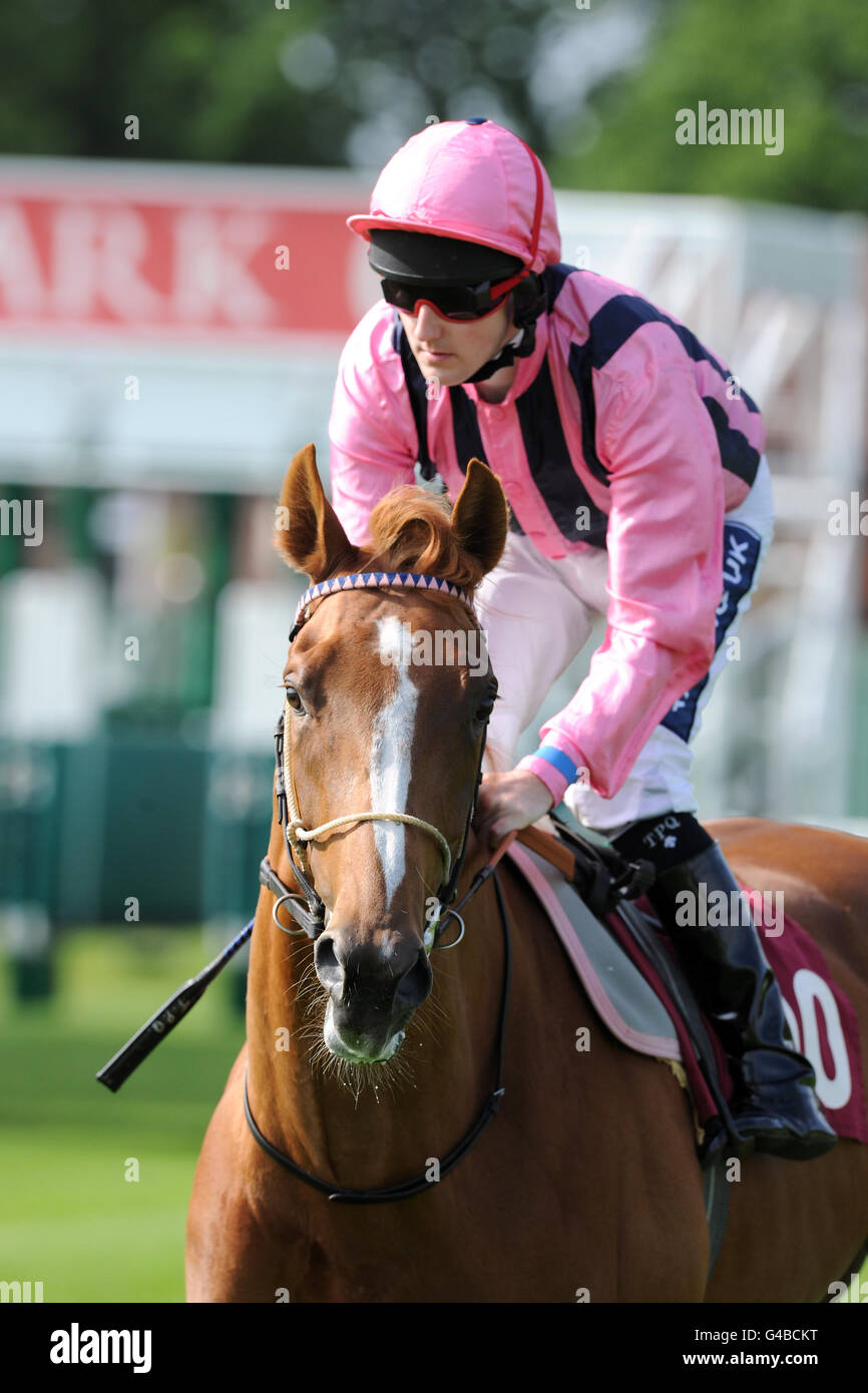 Horse Racing - La Croce Rossa Britannica Raceday - Ippodromo di Haydock Park Foto Stock