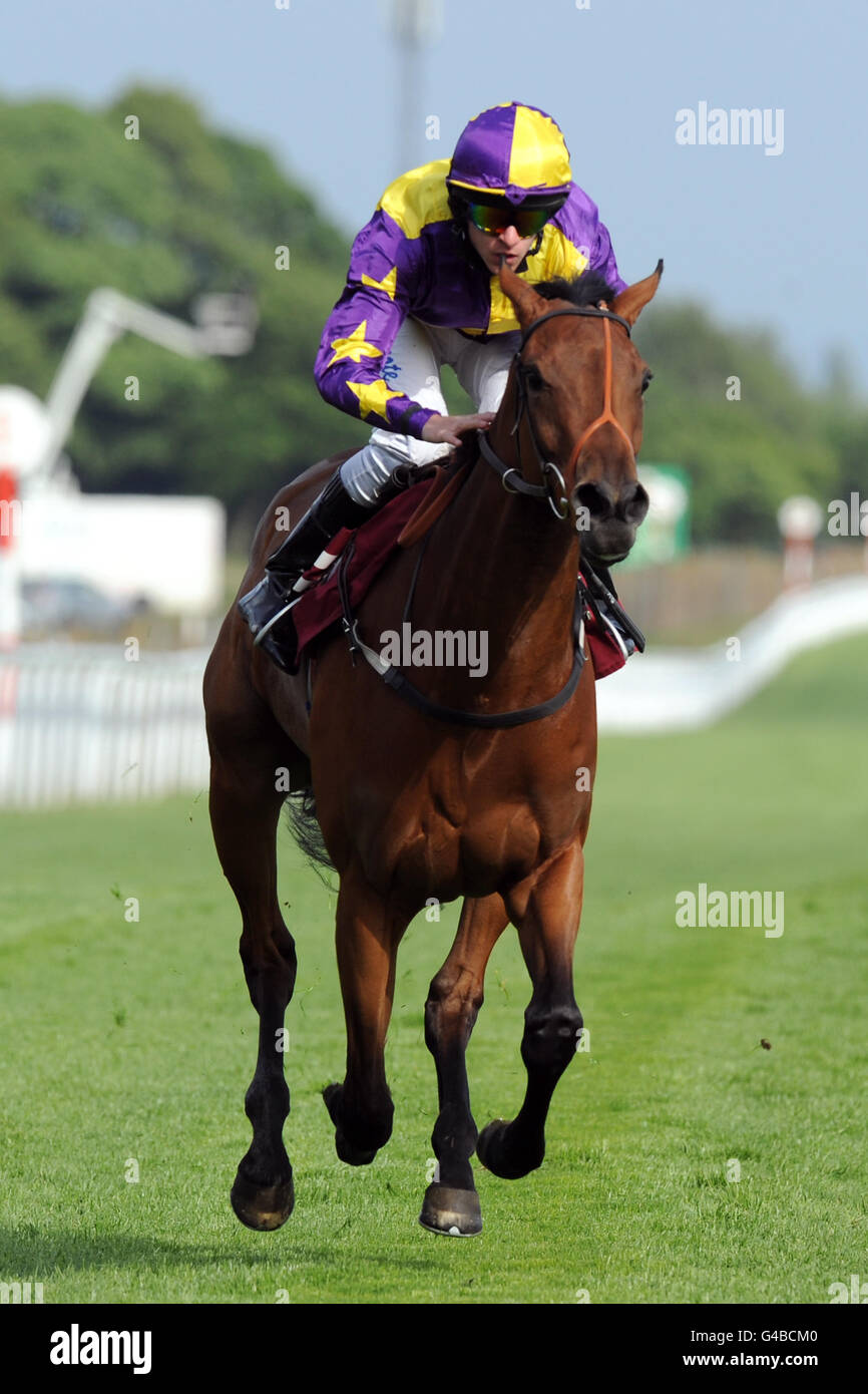 Horse Racing - La Croce Rossa Britannica Raceday - Ippodromo di Haydock Park Foto Stock