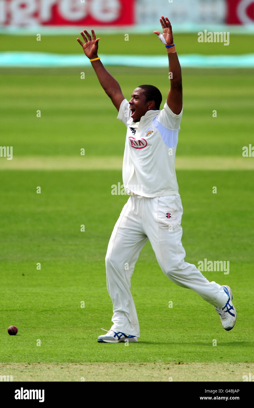 Cricket - Liverpool Victoria County Championship - Divisione due - giorno uno - Surrey v Glamorgan - The Kia Oval. Chris Jordan di Surrey fa appello per un wicket Foto Stock