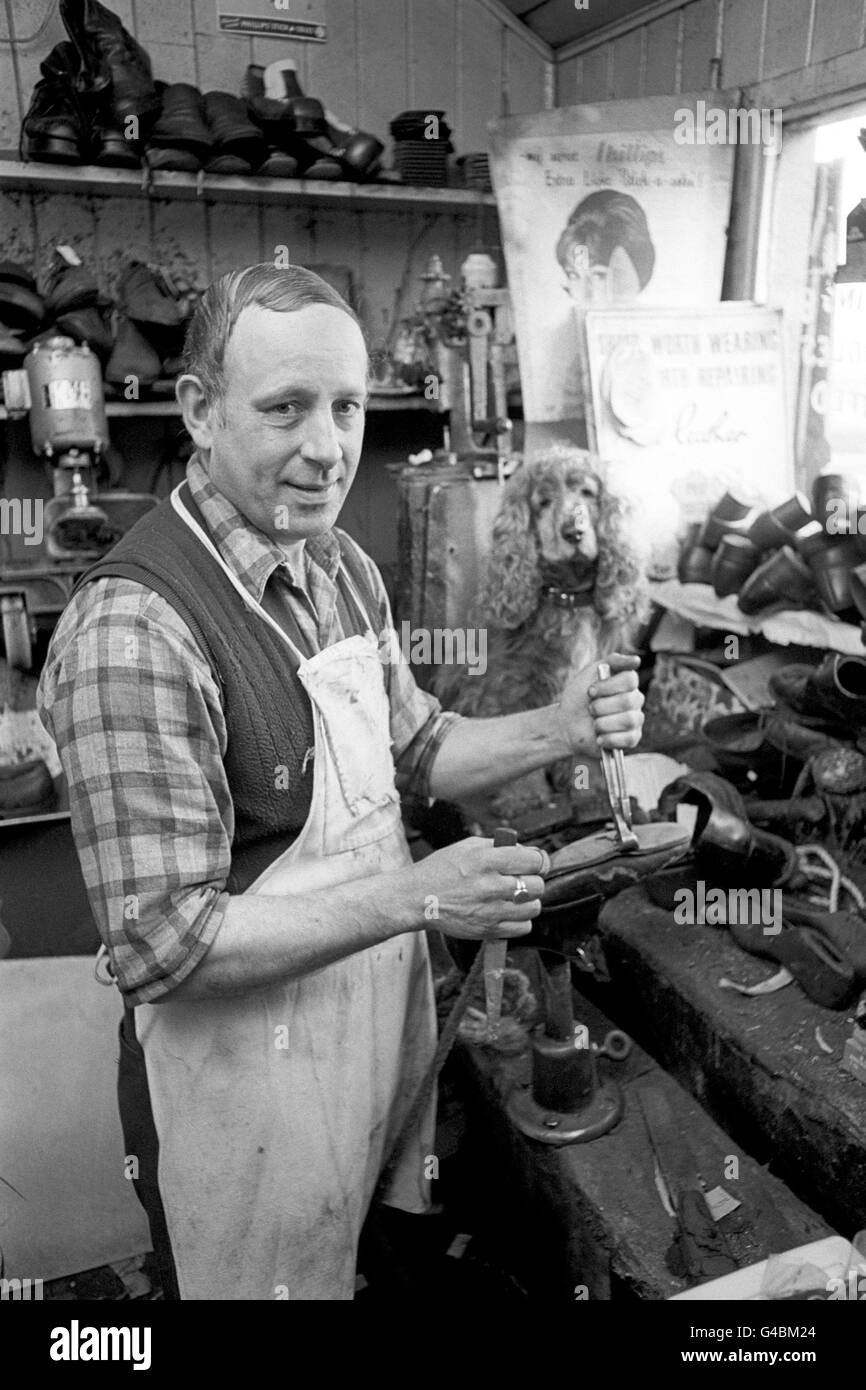 Cobbler Jim Hughes, con Bruce, il suo spaniel americano di sette anni al suo fianco, nel suo capanno dove gestisce la sua attività. È stato un punto di riferimento per quasi un quarto di secolo sulla New Road di Birmingham, Woodsetton, Worcestershire. Foto Stock