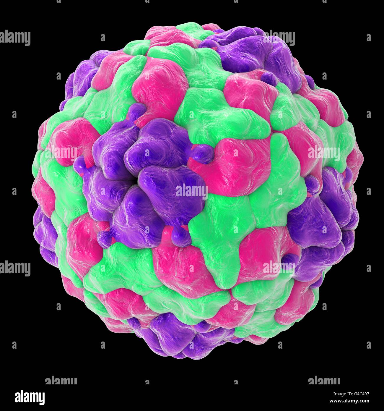 Parechovirus, illustrazione del computer. I virus di RNA da famiglia Picornaviridae. Ci sono due tipi di Parechoviruses: Parechovirus un (Parechovirus umano) che provoca lievi, gastrointestinale o delle malattie respiratorie e più raramente miocardite e da encefalite; Parechovirus B (infezioni zoonotiche, chiamato anche Ljungan virus) che è associata al diabete, morte intrauterina del feto umano, patologia cerebrale e alterazioni dello sviluppo nei neonati. Foto Stock