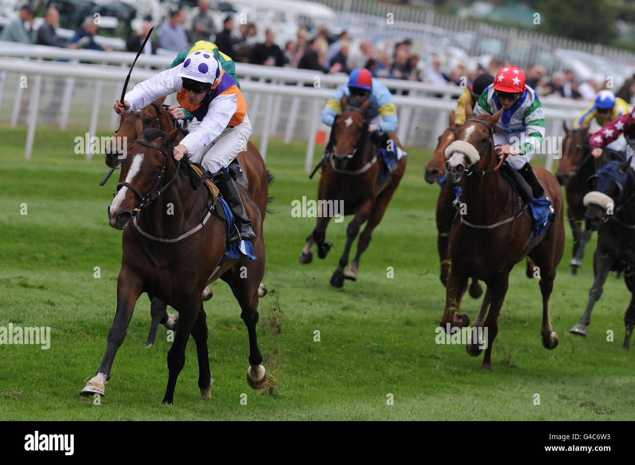 Horse Racing - York Racecourse Foto Stock