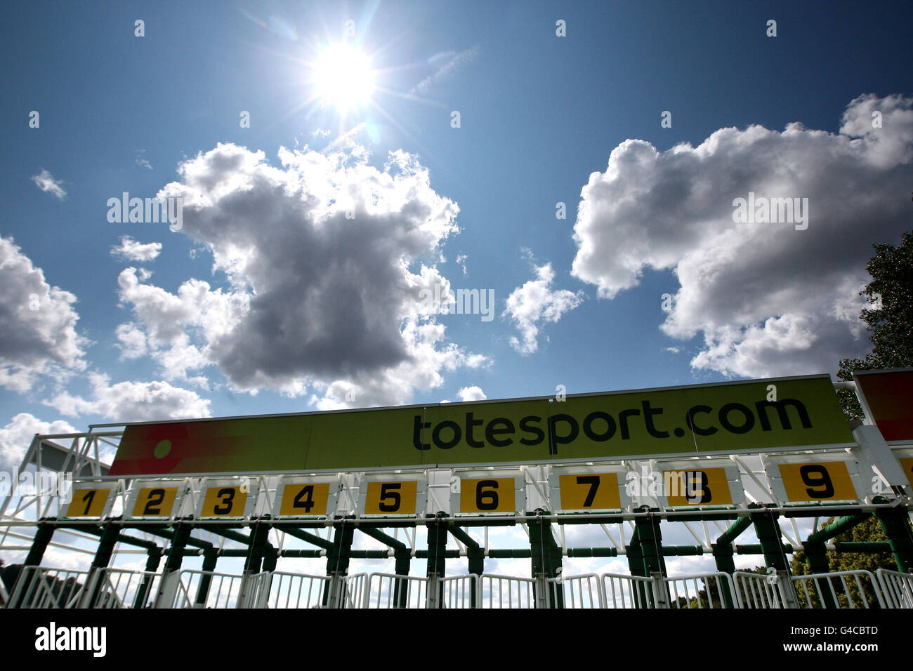 Horse Racing - totepool giorno irlandese - Sandown Park Foto Stock